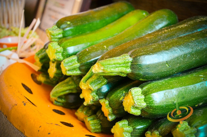 Black Beauty Zucchini fresh dark green glossy squash piled together