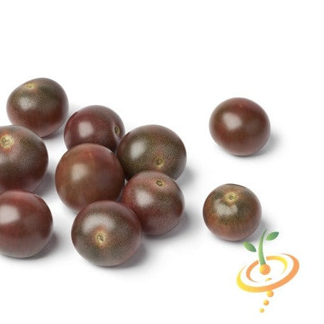 Buy Chocolate Cherry tomato seeds online in the USA! | Vibrant & dark!