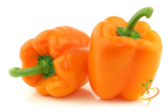 Sweet orange pepper plant with ripe orange peppers on the stem, shown in a garden setting.