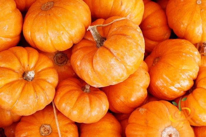 Jack Be Little pumpkin seeds from SeedsNow, small orange pumpkin with green stem, displayed on a neutral background.