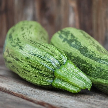 Cocozelle summer squash seeds by SeedsNow, featuring vibrant green and striped squash illustration on seed packet.