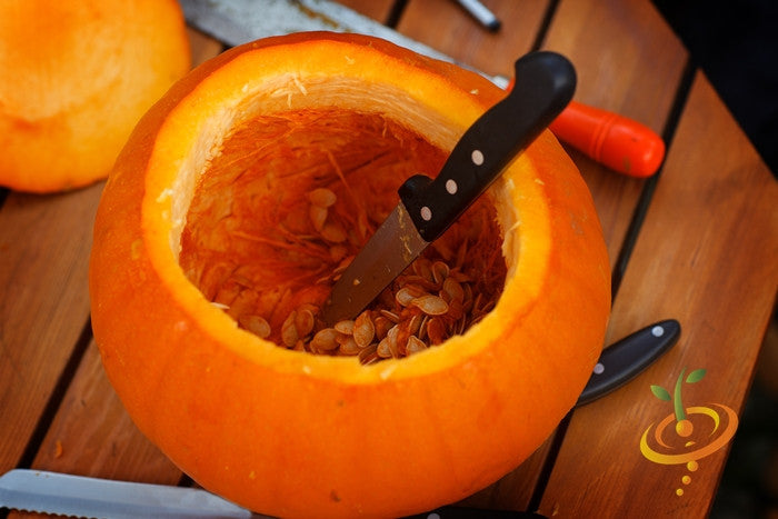 Pumpkin - Jack O' Lantern seeds inside a hollowed orange pumpkin with a knife on a wooden table