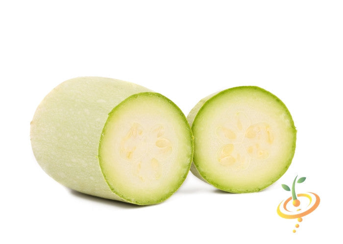 Fresh white seeds of summer squash (marrow) from SeedsNow, ready for planting or culinary use.