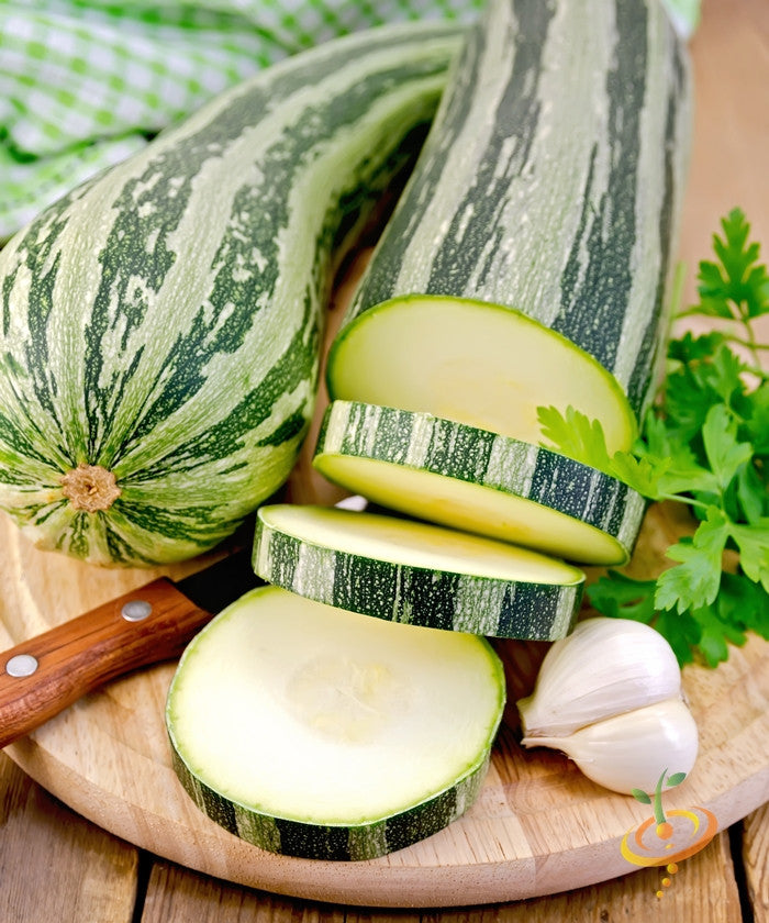 Fresh summer squash with green stripes sliced on a wooden board alongside garlic and herbs, showcasing Caserta seeds variety