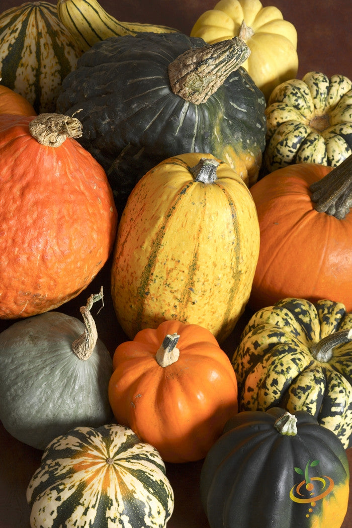 Assorted small gourds of various shapes, sizes, and colors for crafts and decoration