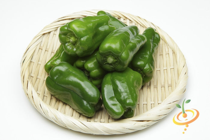 Poblano hot pepper seeds from SeedsNow, showing green pepper seeds with a close-up of the seed packet and fresh peppers.
