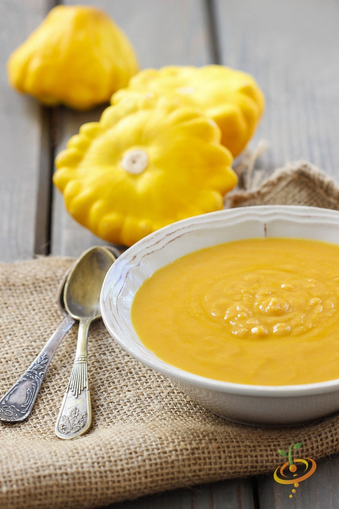 Golden Bush summer squash with scallop-shaped seeds from SeedsNow, fresh and ripe on a garden plant.