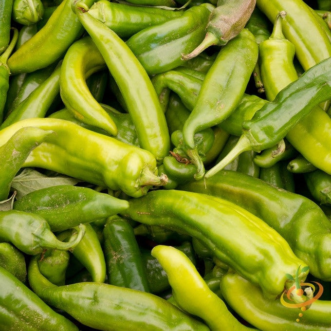 Fresh green Anaheim chili peppers piled together, showcasing their elongated, tapered shape and smooth skin