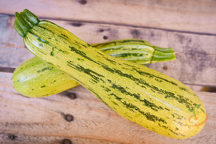 Two striped grayish-green summer squash on wooden surface for summer squash seeds
