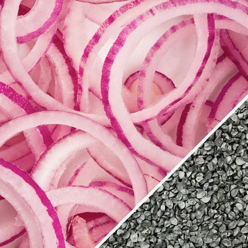 Red Grano onion seeds from SeedsNow, small red onion seeds ideal for planting in short-day growing regions.