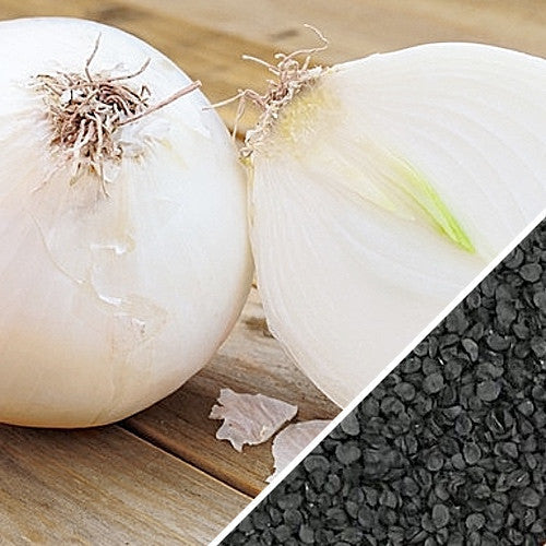 Spanish Sweet White Onion whole and cut with black seeds on wooden surface