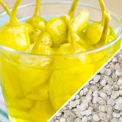 Hot Pepperoncini seeds from SeedsNow, showing small green pepper seeds ideal for growing spicy pepper plants.