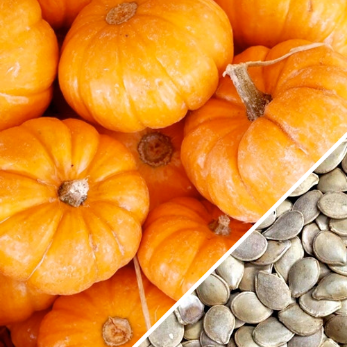 Close-up of Jack Be Little pumpkin seeds from SeedsNow, showing small, tan pumpkin seeds on a neutral background.
