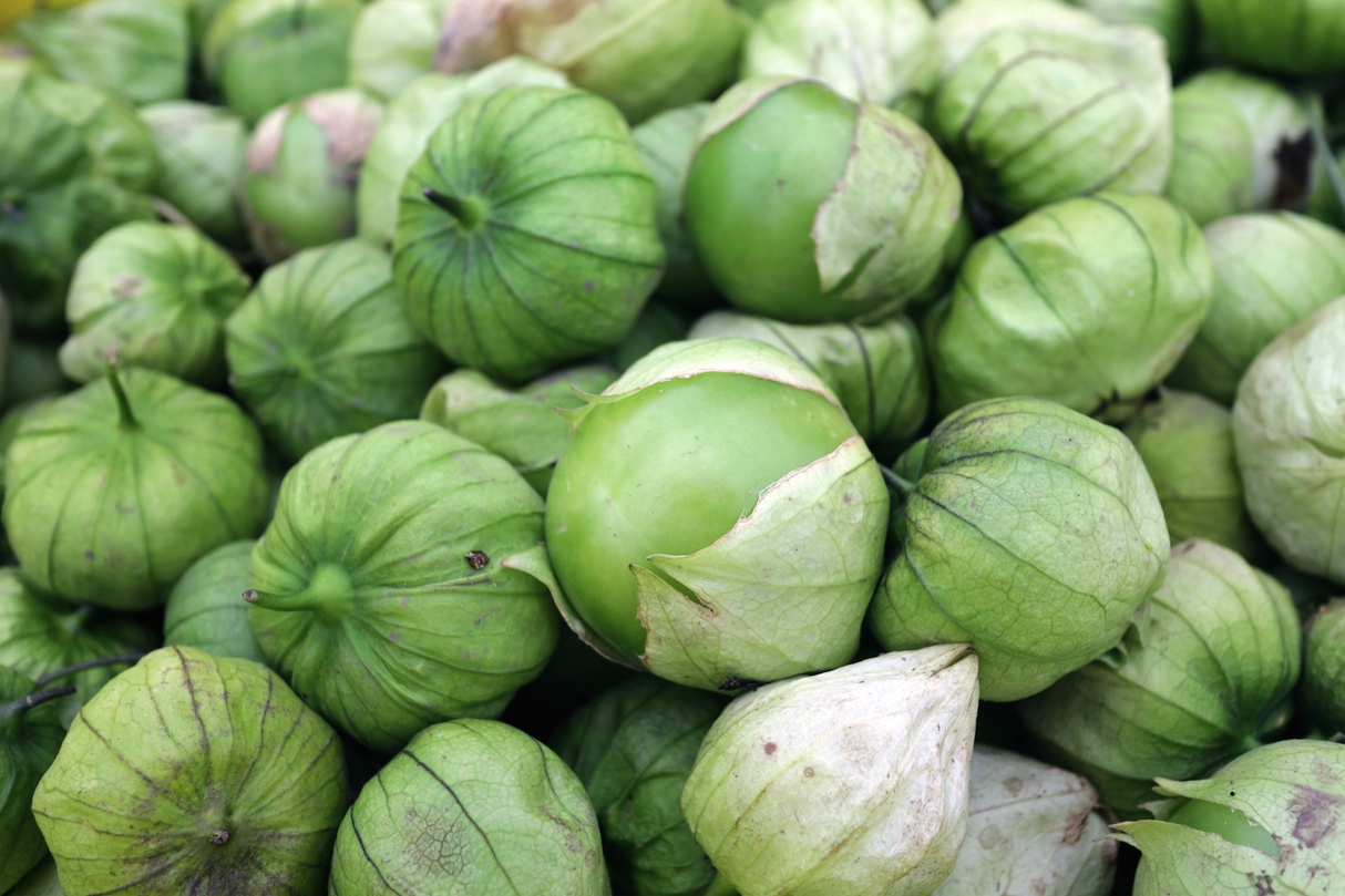 Tomatillo Verde seeds from SeedsNow, fresh green seeds for growing flavorful tomatillo plants