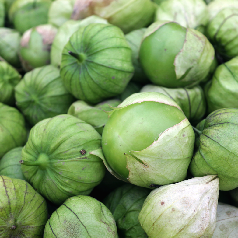 Tomatillo Verde Seeds | Grow Fresh Salsa Ingredients | SeedsNow.com