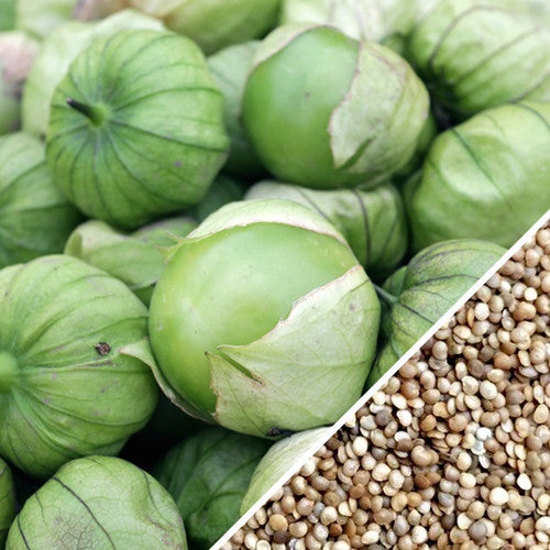 Tomatillo Verde Seeds from SeedsNow, small green seeds for growing fresh, tangy tomatillo vegetables in your garden.