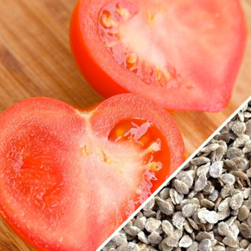 Pink Oxheart tomato seeds from SeedsNow, indeterminate tomato variety with vibrant pink fruits.