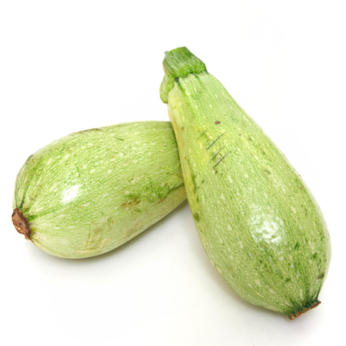 Lebanese White Bush summer squash seeds from SeedsNow, small white seed packets for planting and growing summer squash.