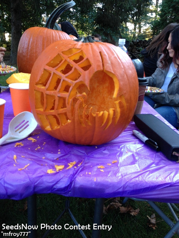 Carved Jack O' Lantern pumpkin with spider web and spider design on a purple table outdoors