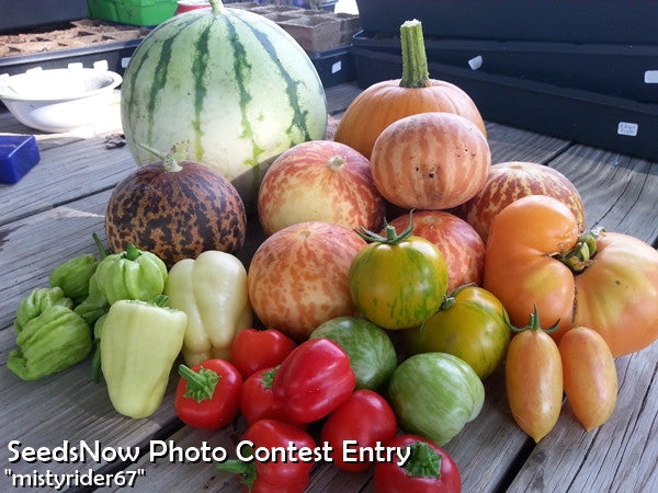 Assorted fresh hot peppers with watermelon and pumpkin on wooden table