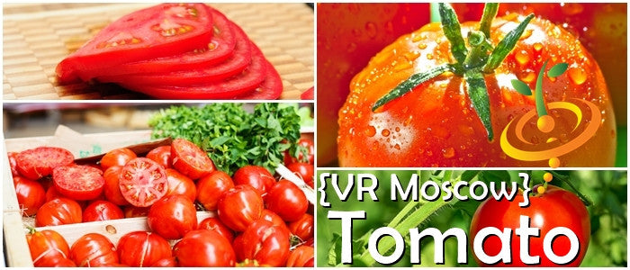 Collage of VR Moscow Tomato images showing whole, sliced tomatoes, and tomato plant close-up