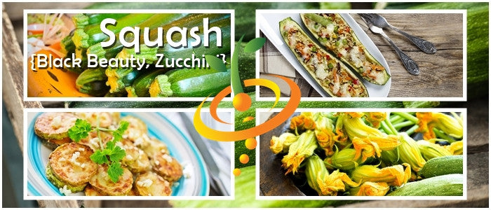 Collage of Black Beauty Zucchini dishes and fresh squash blossoms showcasing Black Beauty zucchini seeds.