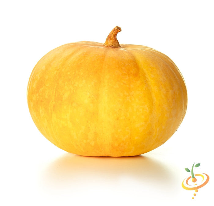 Yellow pumpkin with seeds, from SeedsNow, showcasing vibrant orange skin and fresh interior, ideal for cooking or decoration.
