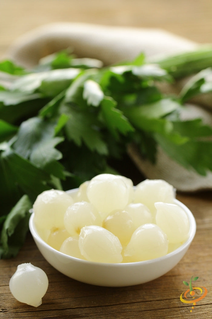 Pearly White onion seeds from Barletta variety, shown in a seed packet with seeds spilling out, on a neutral background.