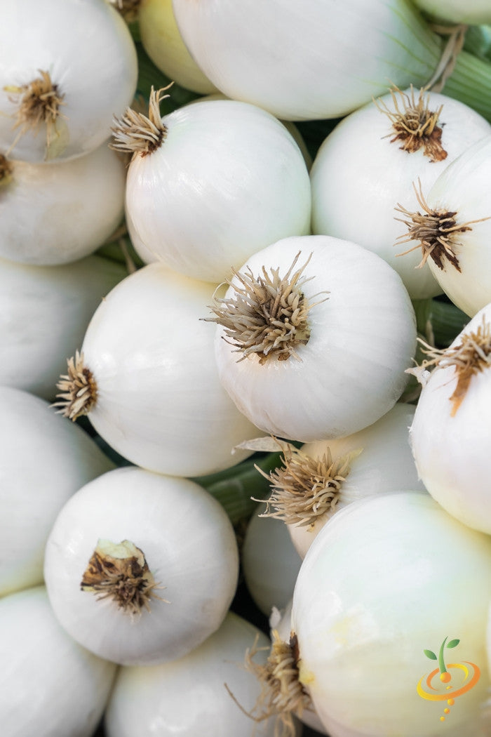 White Globe Onion seeds from Southport, Long Day variety, shown in packaging with fresh onion bulbs and green tops.