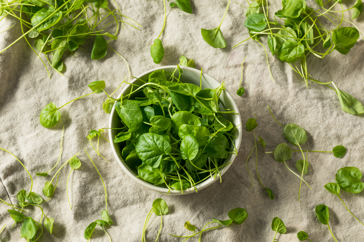 Fresh green watercress leaves in a white bowl on a beige fabric background
