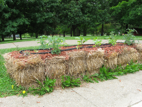 How To Successfully Plant a Straw/Hay Bale Garden