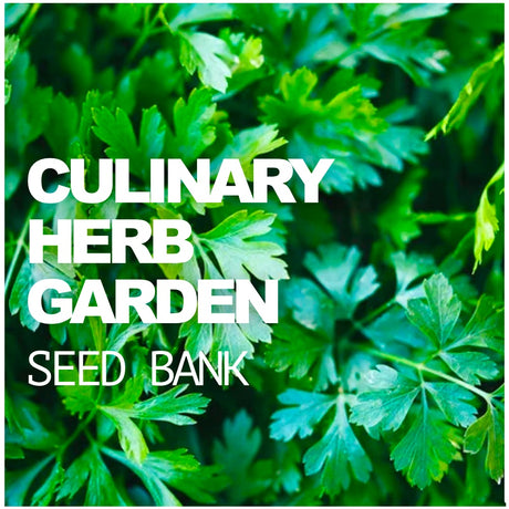 All-in-One Culinary Herb Garden Seed Bank - SeedsNow.com