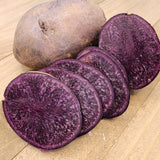 Potato (Mid-Season) - Purple Majesty (Organic rounds) *pre-order*