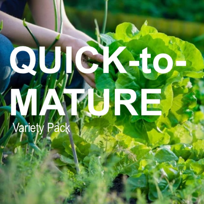 *NEW!* Quick-to-Mature Garden Variety Pack