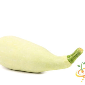 White seeds for summer squash (Marrow) from SeedsNow, shown in a close-up image with fresh squash produce.