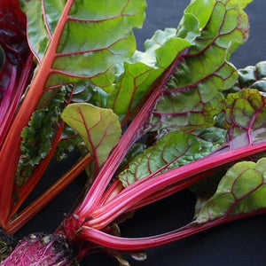 Swiss Chard - Magenta Sunset - SeedsNow.com