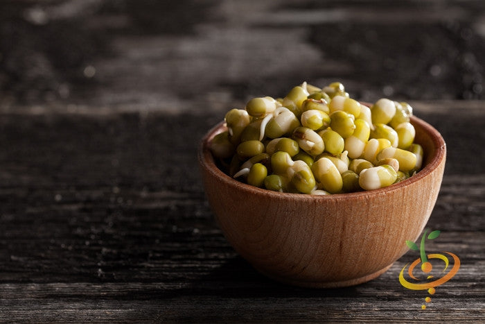 Sprouts/Microgreens - Green Pea.