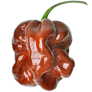 Pepper - Habanero Chocolate.