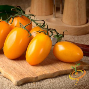 Yellow Pear Tomato Seeds | Cluster of ripe Yellow Pear Tomatoes on a wooden cutting board