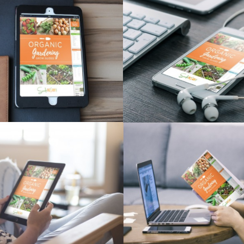Free organic gardening grow guides eBook from SeedsNow.com, featuring tips and methods for healthy garden growth.