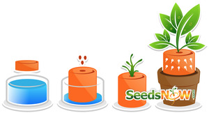Free seed starter kit with soil and planting accessories, perfect for beginning gardeners and plant enthusiasts.