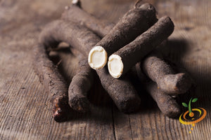 Black Salsify (Black Oyster Plant/Scorzonera) - SeedsNow.com