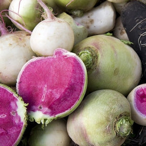 Fresh watermelon radish seeds from SeedsNow, small black and white seeds ideal for planting and growing radish vegetables.